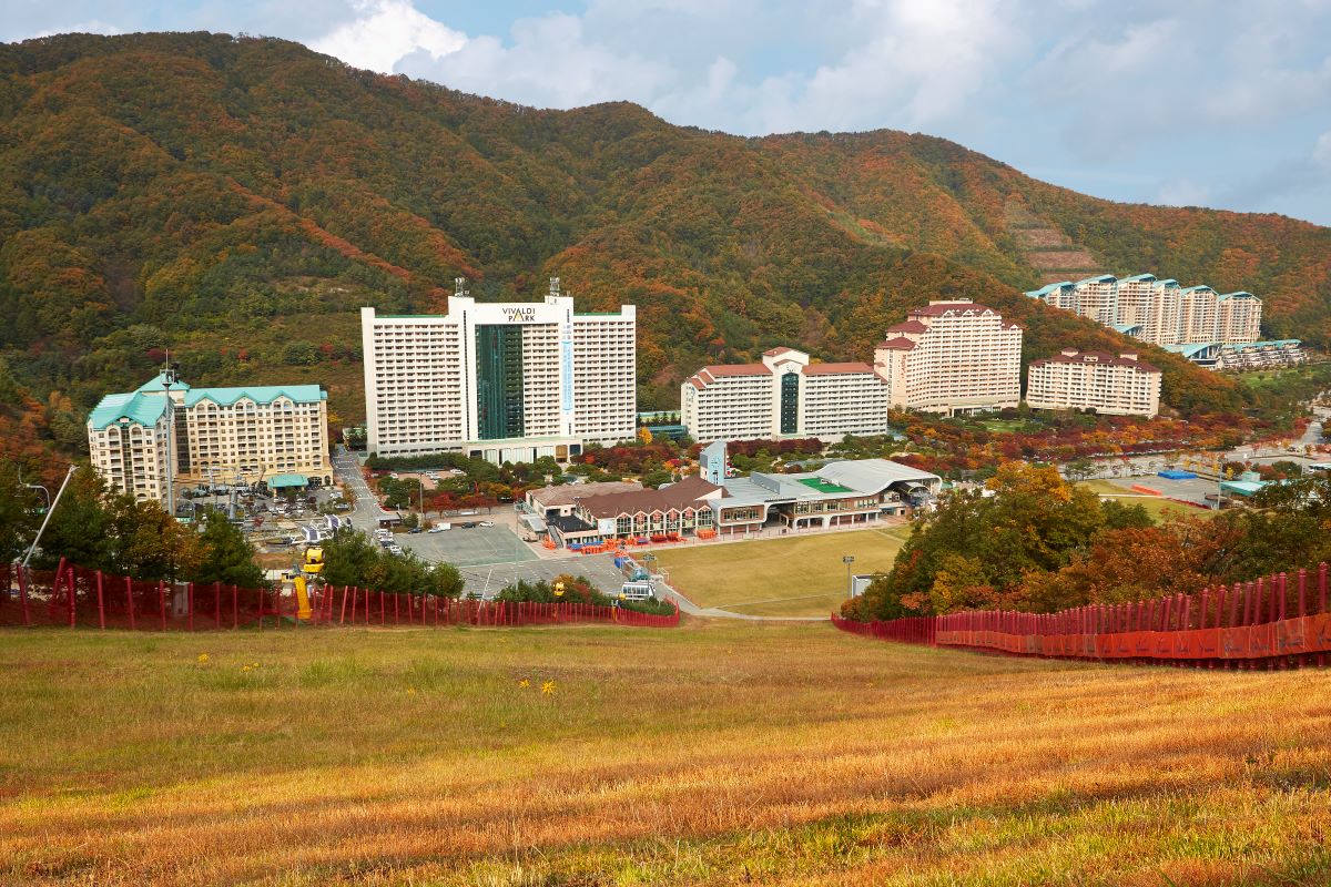 소노벨 비발디파크 D